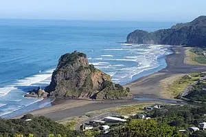 Afternoon Piha Beach and Rainforest Tour from Auckland